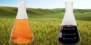 کود هیومیک اسید