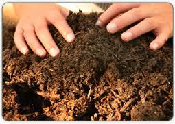 کود هیومیک اسید