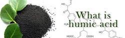 کود هیومیک اسید پودری