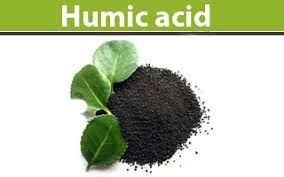 قیمت کود هیومیک اسید