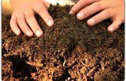 بزرگترین تولیدی کود هیومیک اسید درجه یک