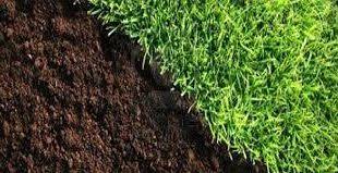 عرضه اینترنتی کود هیومیک اسید پودری