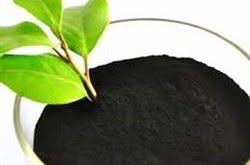 فروشگاه اینترنتی کود هیومیک اسید خارجی