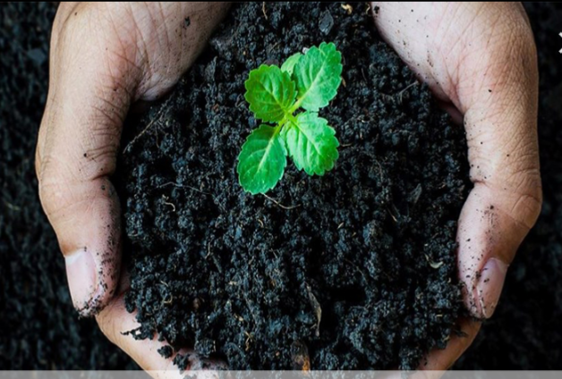 قیمت خرید اسید هیومیک