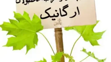 محصولات ارگانیک