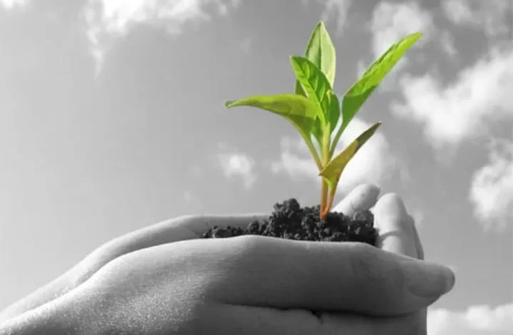 کود هیومیک اسید ارگانیک اصل