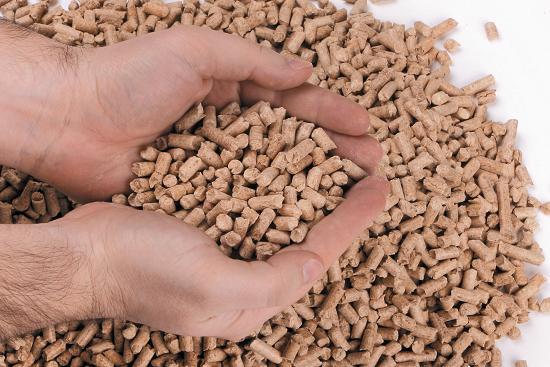 قیمت کود پلیت مرغی