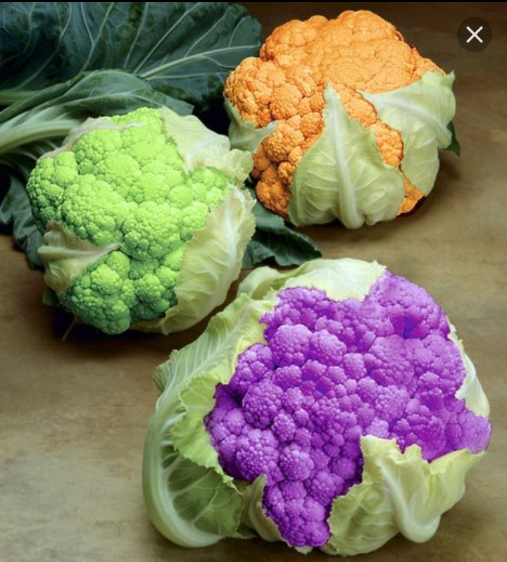 خریدار انواع کود مرغی