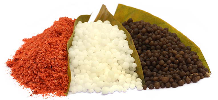 خرید ارزان ترین کود