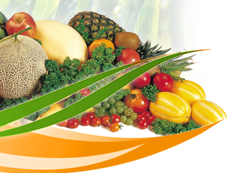 قیمت کود سولفات آهن