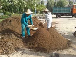 فروش عمده کود