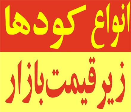 قیمت روز کود مرغی