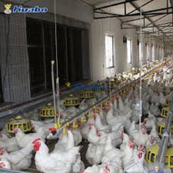 مرجع خرید انواع خوراک دام