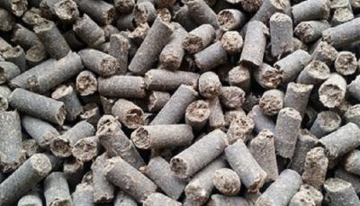 تولید کود پلیت مرغی