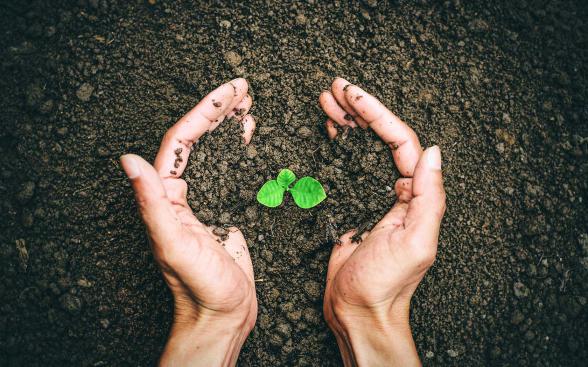 سفارش عمده و جزئی انواع کود های شیمیایی