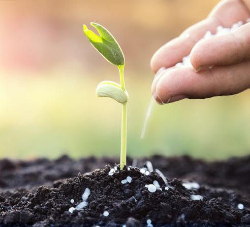 بازار بزرگ کود های کشاورزی در ایران