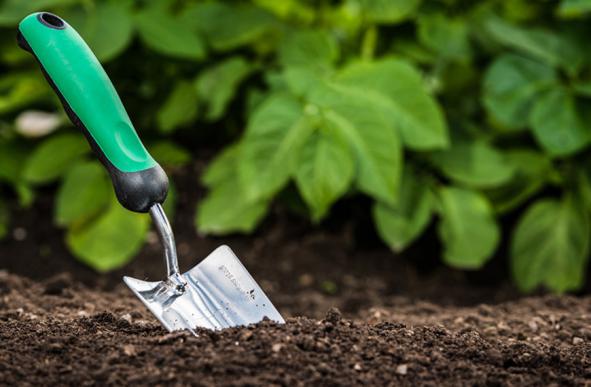 فروشگاه های فروش کود مرغی در ایران 