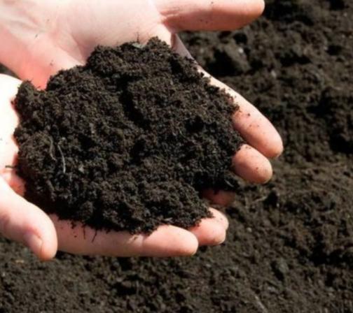 پر مصرف ترین نوع کود مرغی 