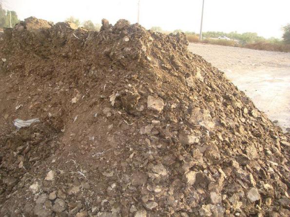 تاثیر رشد گیاهان با استفاده از کود مرغی 