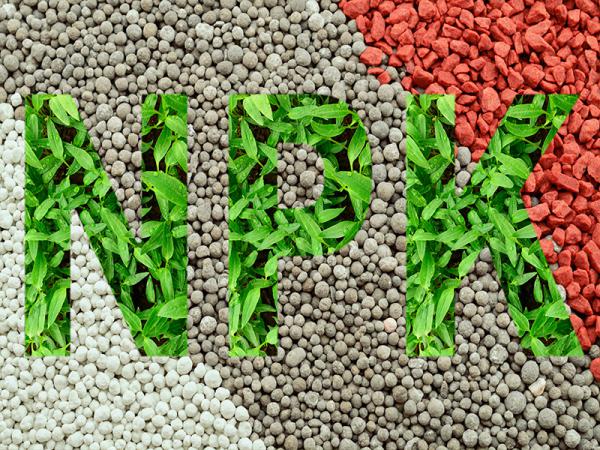 شرکت فروش کود پودری npk با کیفیت