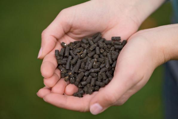 تولیدکنندگان پلیت مرغی در ایران