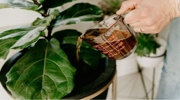 فروشنده کود مایع مرغی در ایران