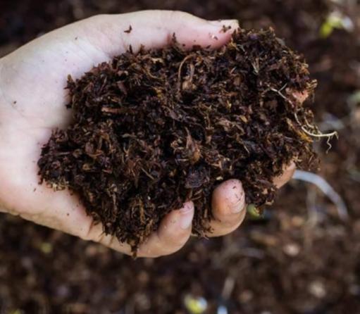 تفاوت قیمت کود حیوانی و شیمیایی