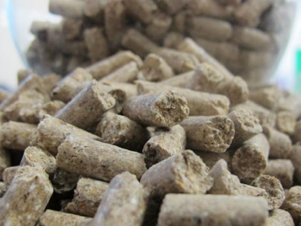 فروش کود مرغی پلیت شده درجه یک 