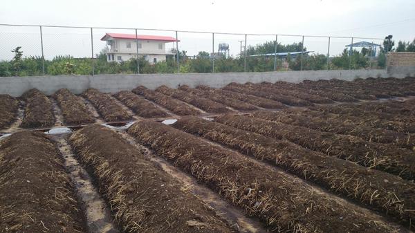 آگهی فروش کود مایع مرغی درجه یک