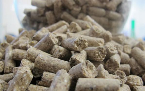 شرکت های فروش کود مرغی پلیت شده خالص