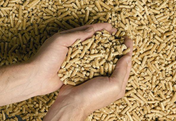 خریداران کود مرغی پلیت شده