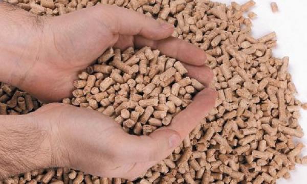 ارزان ترین کود مرغی ارگانیک موجود در بازار