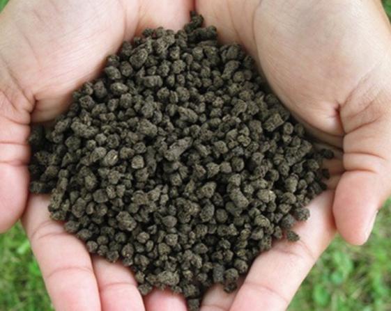 تولید کود مرغی پلیت شده با ریز مغزی ها