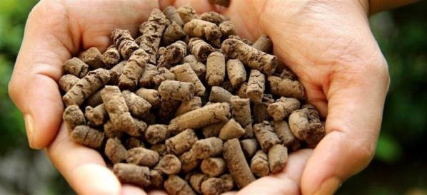 وجود npk در پلیت مرغی