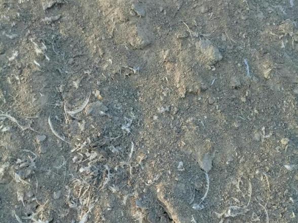 عرضه کود مرغی خالص در ایران