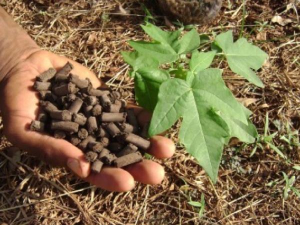 تهیه انواع کود مرغی npk