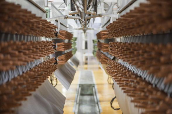 صادرات کود مرغی گرانوله و مایع