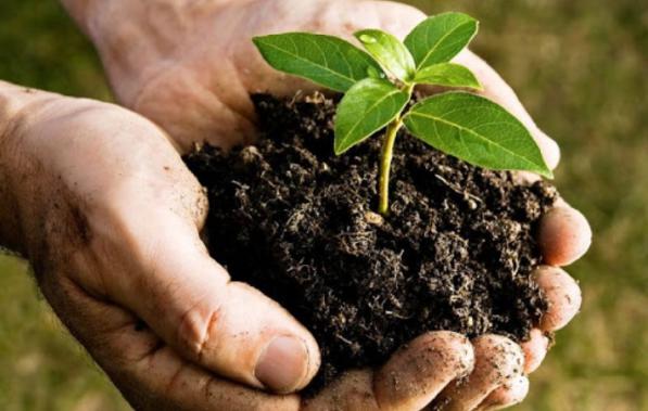 قیمت فروش عمده کود اسید هیومیک در شیراز