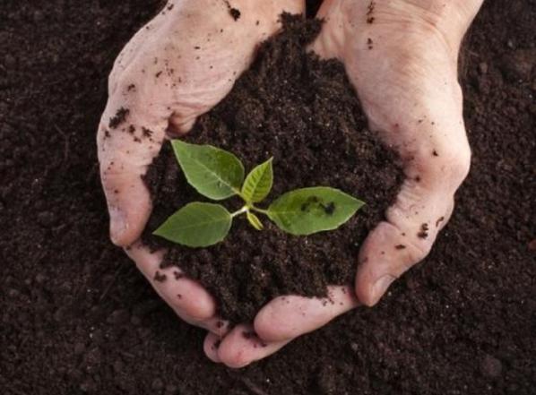 روش های تولید کود اسید هیومیک جامد 