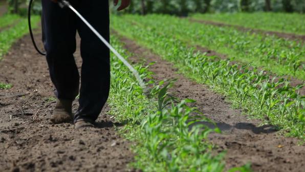 مزایای استفاده از  کود هیومیک اسید مایع 