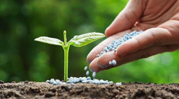 مقایسه کود هیومیک اسید ایرانی و آمریکایی 