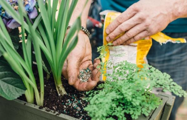 مرکز پخش و توزیع انواع کود هیومیک اسید