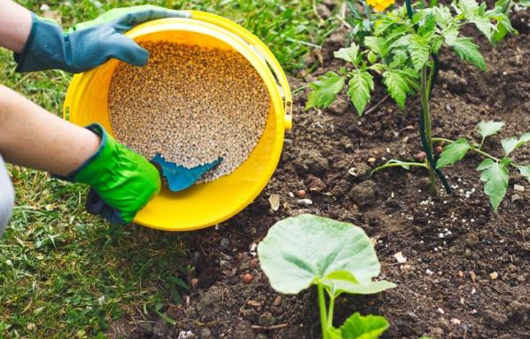 موارد استفاده از کود هیومیک اسید پودری