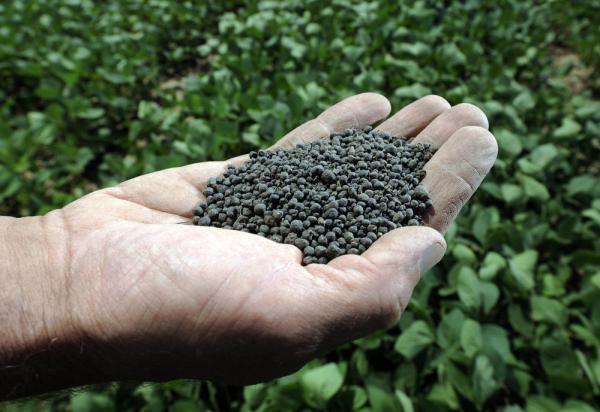 قیمت روز کود اسید هیومیک در شیراز