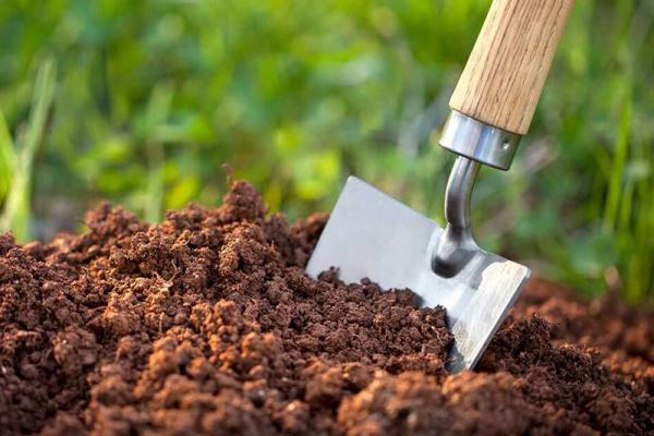 موارد مصرف و استفاده از کود هیومیک اسید 